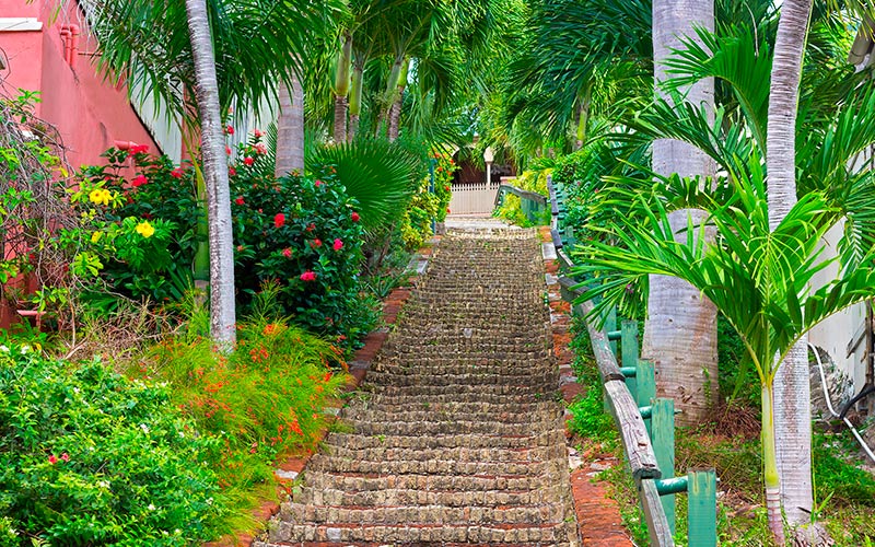 blog-post-de-vestindiske-oer-99-steps blog-post-de-vestindiske-oer-99-steps