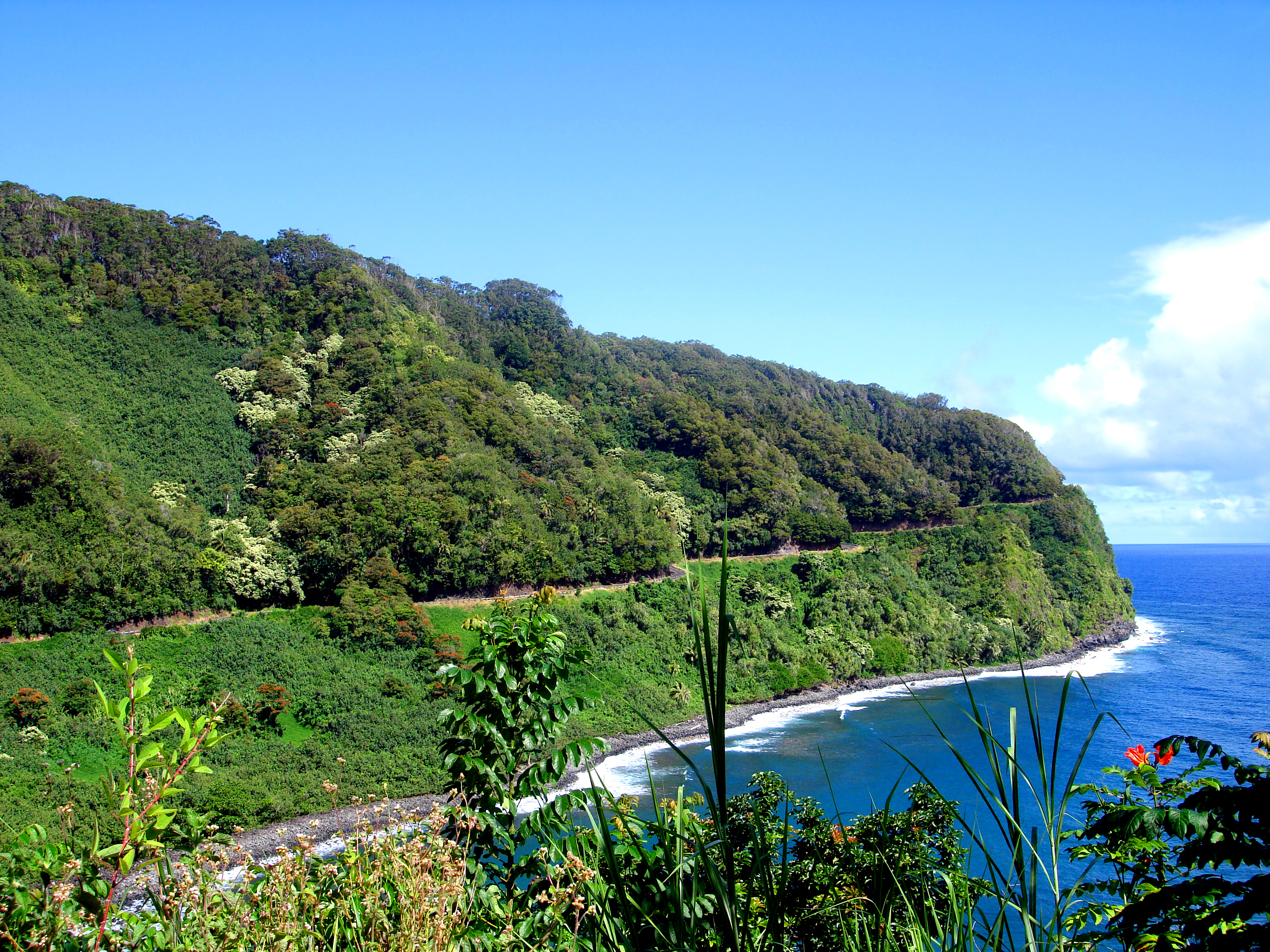 bilsemester-på-vastkusten-i-usa-hawaii-road-to-hana