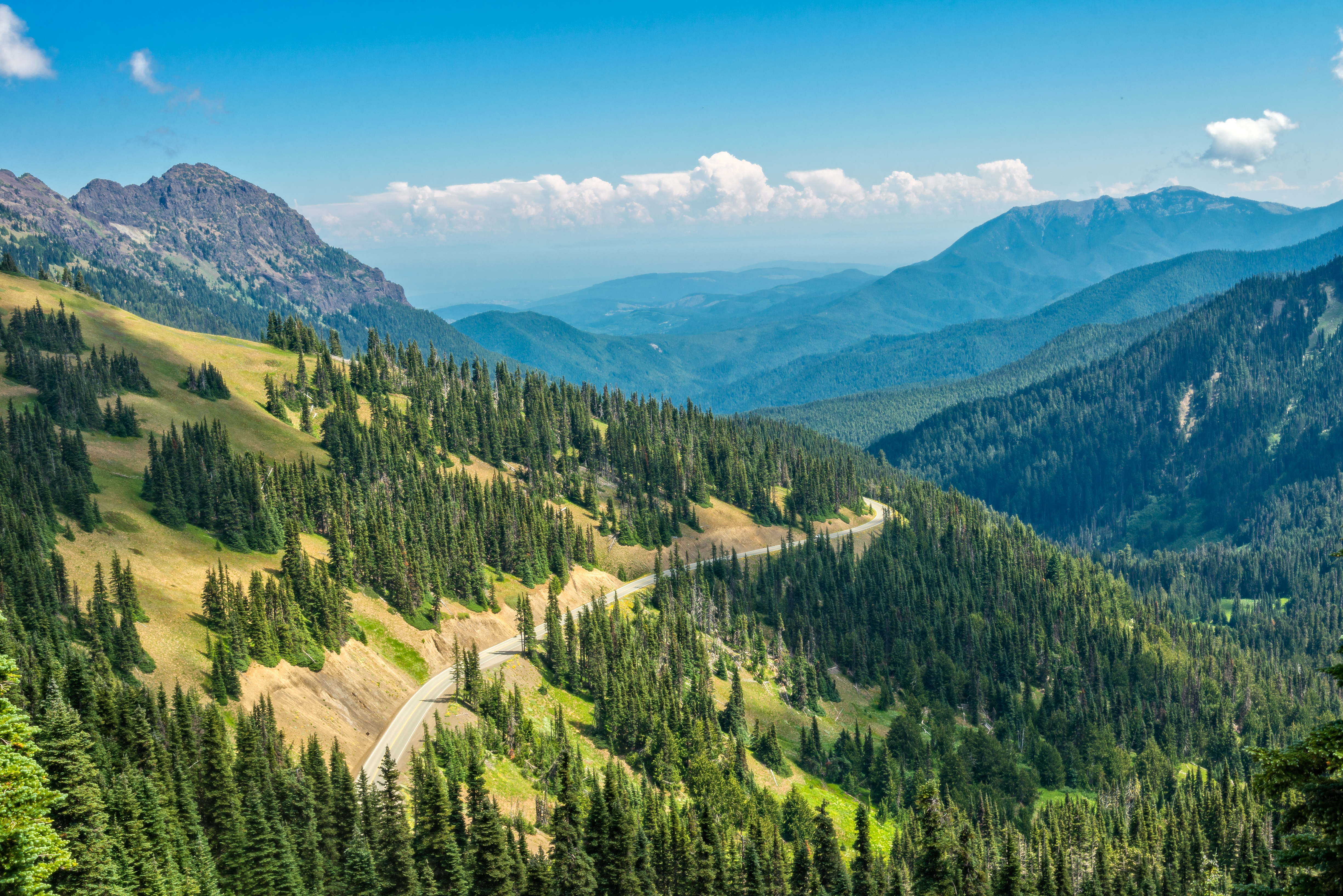 bilsemester-på-vastkusten-i-usa-highway-101-om-olympic-peninsula
