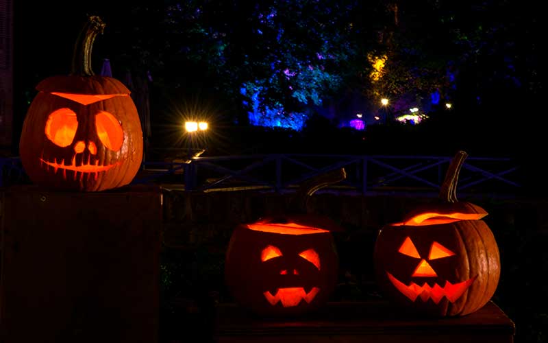Halloween i Chicago högtider-i-usa-halloween